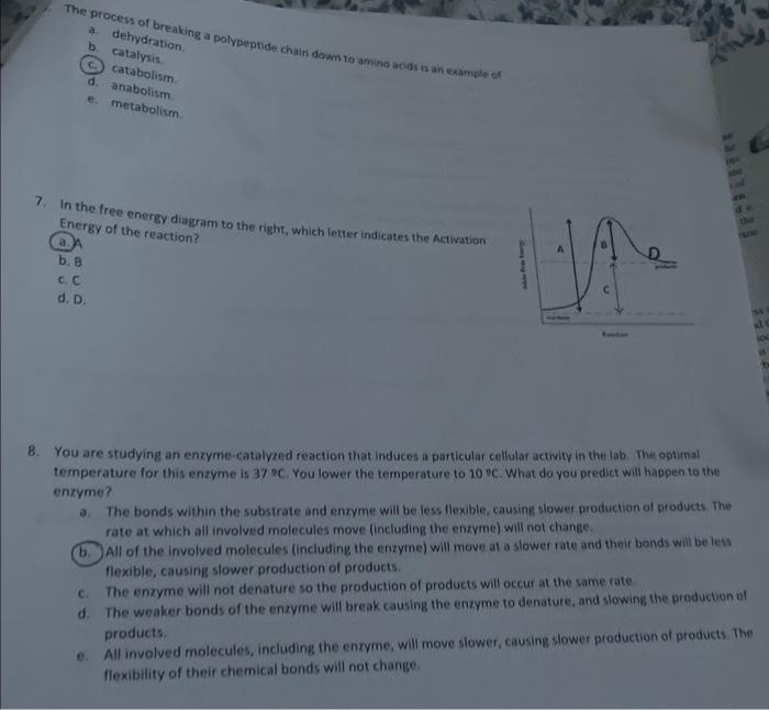 Solved 3. In the reaction A−+B→A+B− a. molecules A and B are | Chegg.com