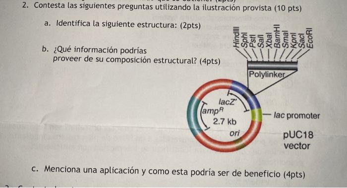 c. Menciona una aplicación y como esta podría ser de beneficio (4pts)