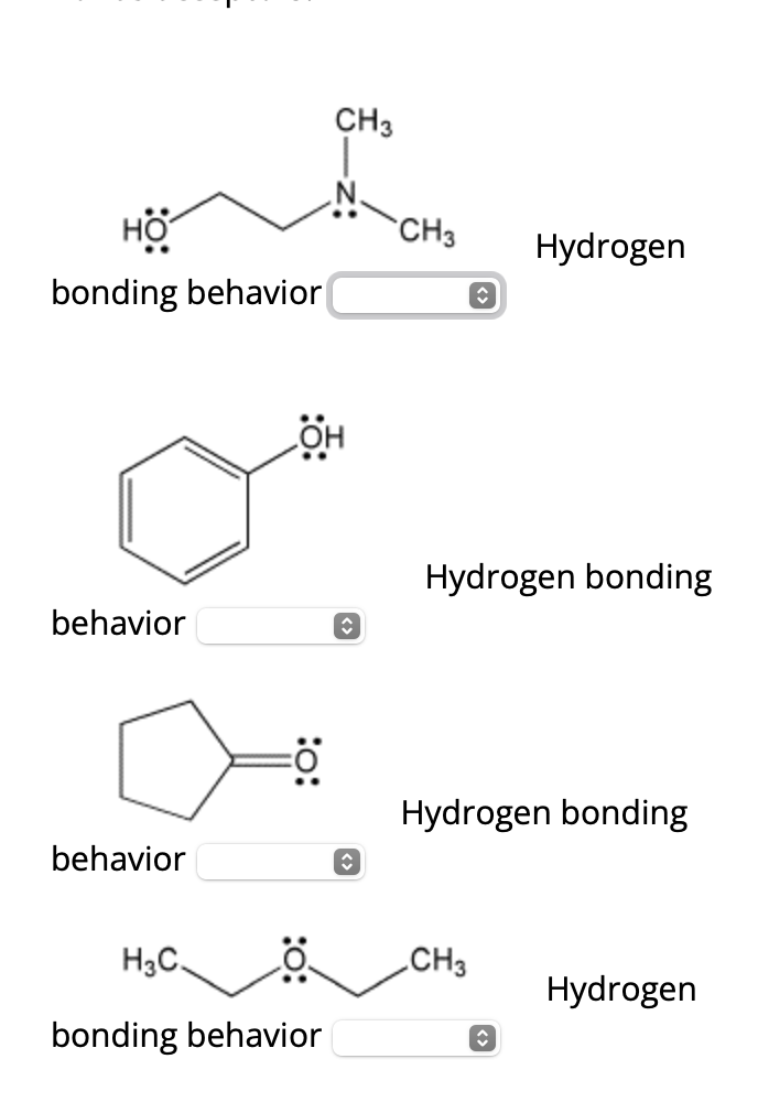 Solved bonding behaviorbehaviorHydrogen | Chegg.com