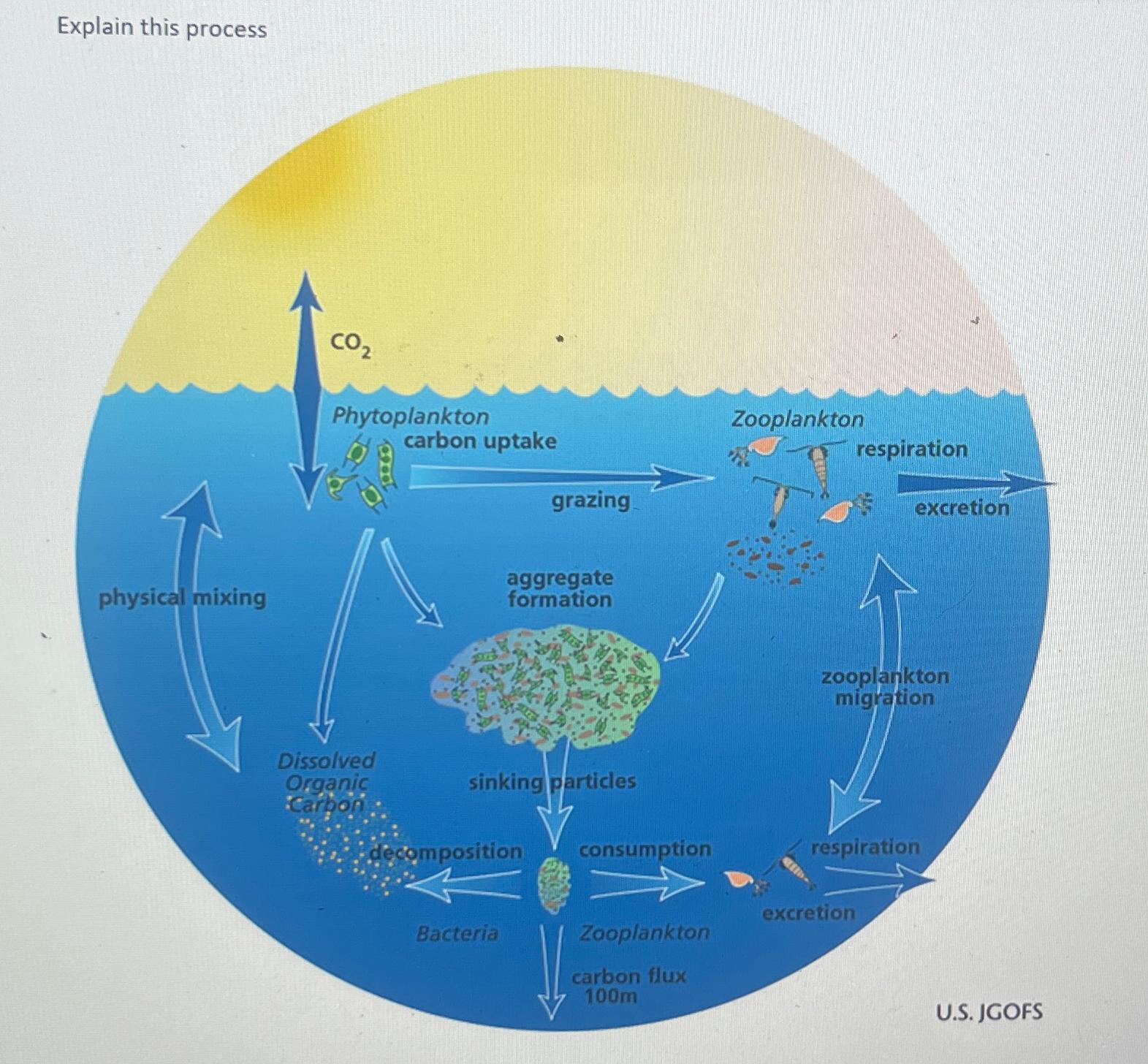 Solved Explain this process | Chegg.com