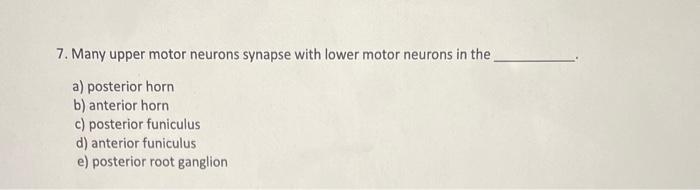 7. Many upper motor neurons synapse with lower motor neurons in the a) posterior horn b) anterior horn c) posterior funiculus