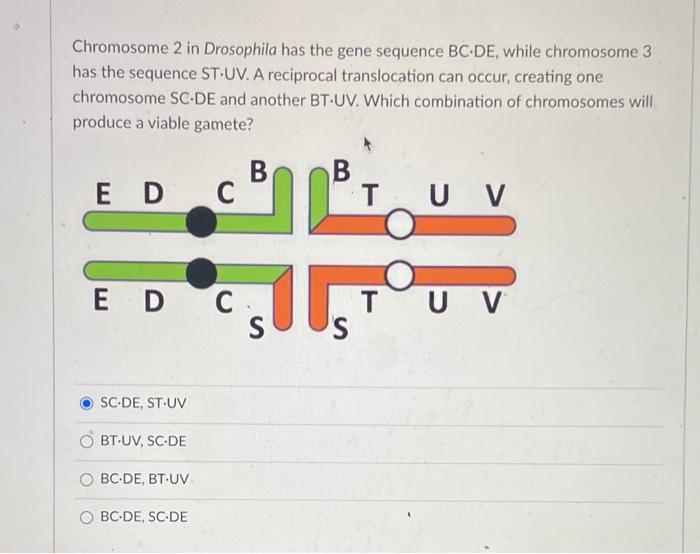 Solved Chromosome 2 in Drosophila has the gene sequence | Chegg.com