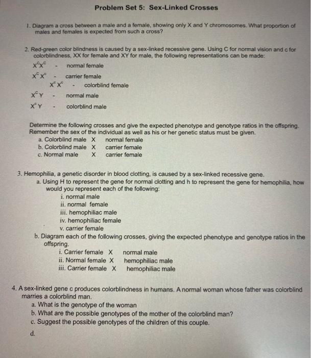 Solved Problem Set 5 Sex Linked Crosses 1 Diagram A Cross