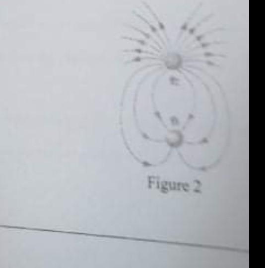 Solved Figure 2 e shows the electric fields lines for two | Chegg.com