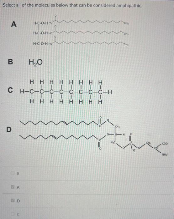 Solved HELP PLEASE!!Select all of the molecules beliw that | Chegg.com