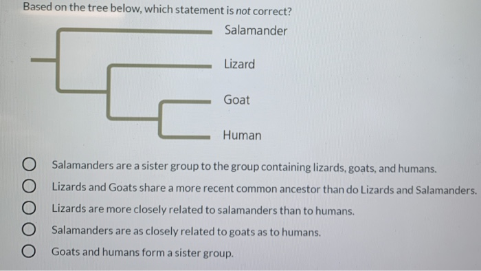 Based On This Tree Select The Correct Statement Solved Based on the tree below, which statement is not | Chegg.com
