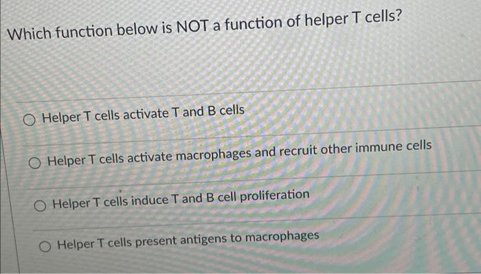 helper t th cells do not