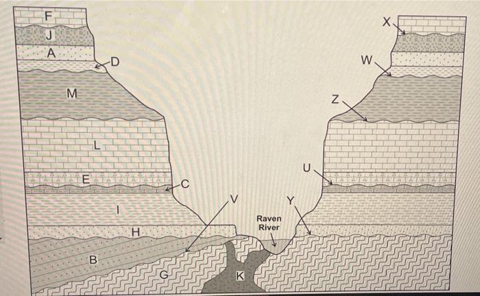Solved The geologic cross-section below shows a sequence of | Chegg.com