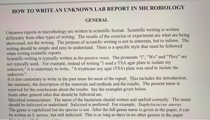 unknown bacteria lab report