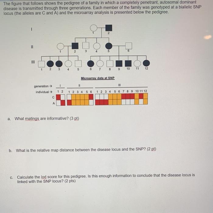 Solved The figure that follows shows the pedigree of a | Chegg.com