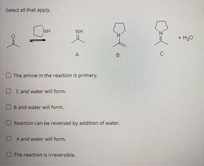 Solved Select all that apply. NH NH 5 N of + H20 A B с The | Chegg.com