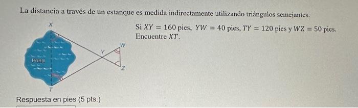 La distancia a través de un estanque es medida indirectamente utilizando triángulos semejantes. Si \( X Y=160 \) pies, \( Y W