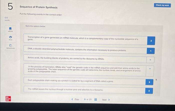 Solved Sequence of Protein Synthesis Put the following | Chegg.com