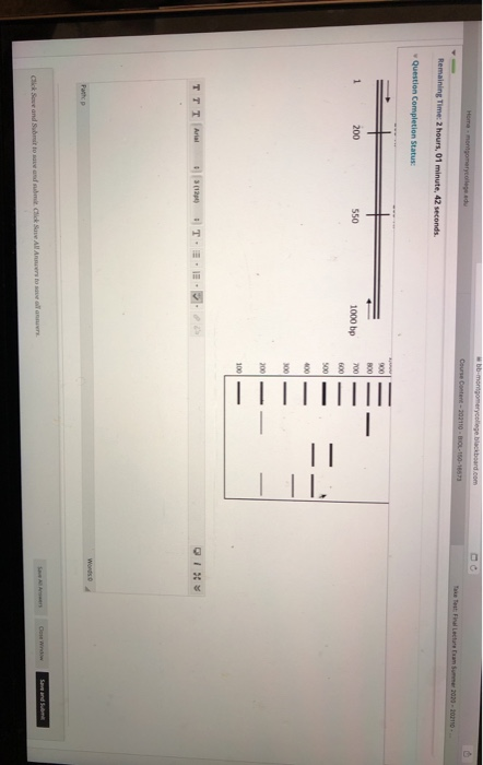 points question 62 a dna sequence