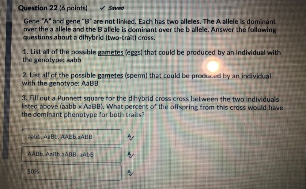 Solved Question 22 (6 Points) Saved Gene "A" And Gene "B" | Chegg.com