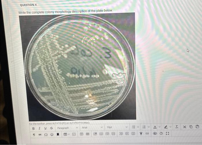 QUESTION 4 Write The Complete Colony Morphology | Chegg.com