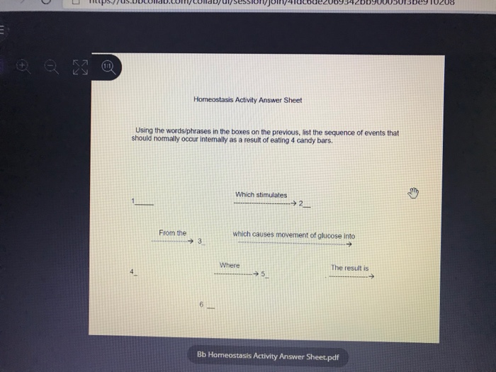 Storjom E Homeostasis Activity Answer Sheet Using The Chegg Com