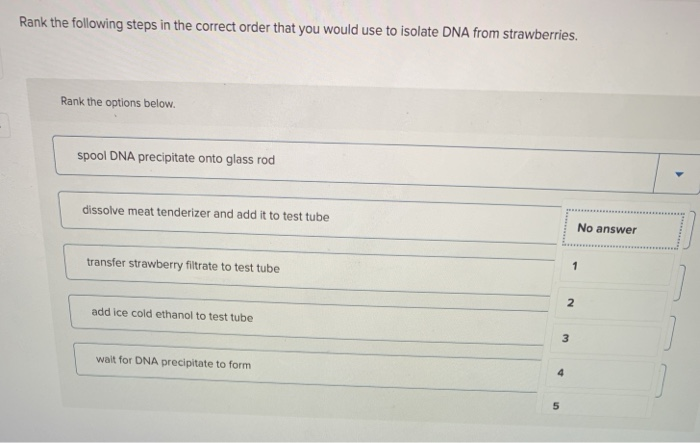 lab report biology matriculation experiment 6 isolating dna