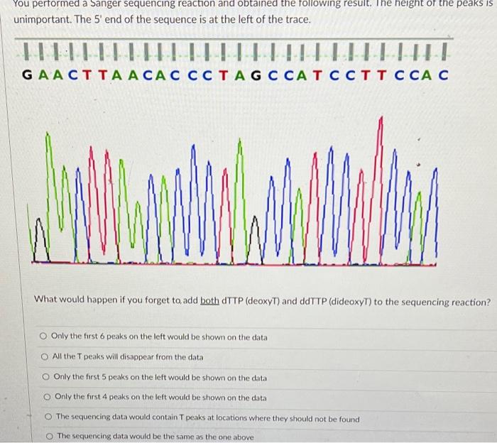 Solved You performed a Sanger sequencing reaction and | Chegg.com