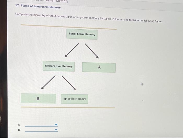 Solved Memory 17. Types of long-term Memory Complete the | Chegg.com