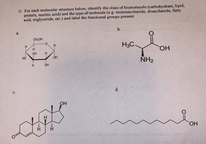 Solved 1) For each molecular structure below, identify the | Chegg.com
