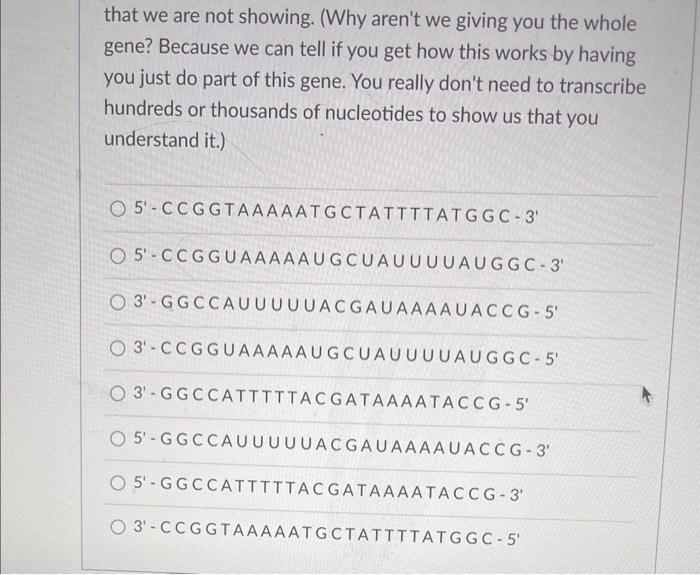 Solved Below is a section of double stranded DNA. The | Chegg.com