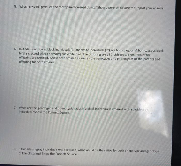 Solved 1. Coat color in mice is dominant.