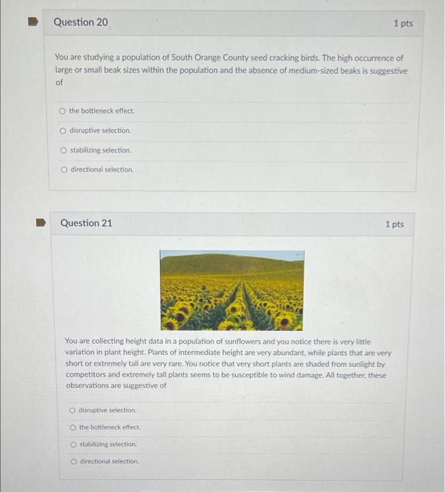 Solved Question 20 1 Pts You Are Studying A Population Of | Chegg.com