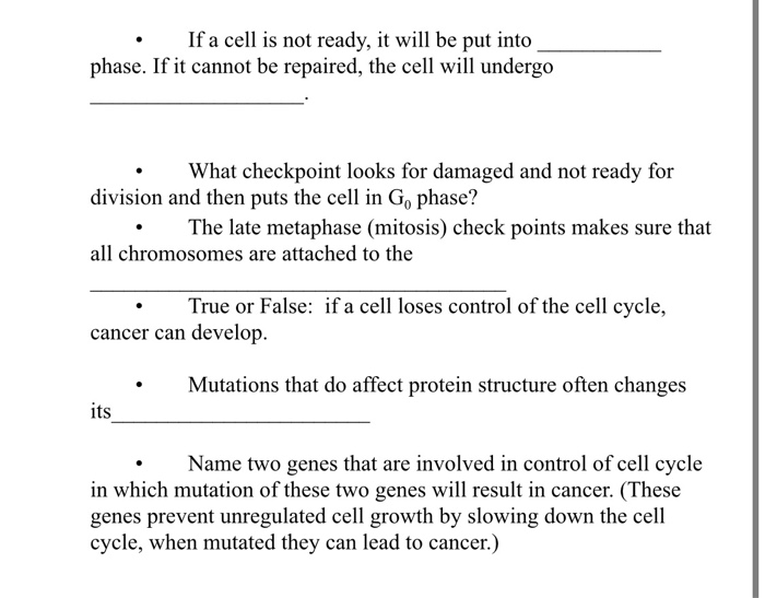 Solved During which phase of mitosis are replicated | Chegg.com