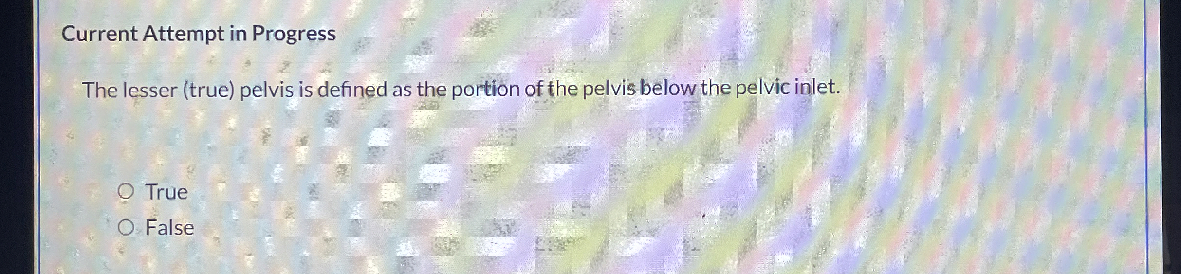 Solved Current Attempt in ProgressThe lesser (true) ﻿pelvis | Chegg.com