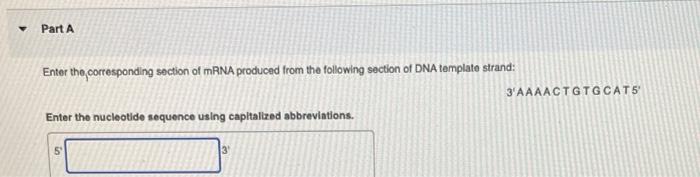 Solved Part A Enter the corresponding section of mRNA | Chegg.com