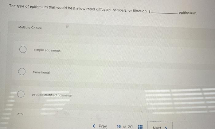 Solved The type of epithelium that would best allow rapid | Chegg.com