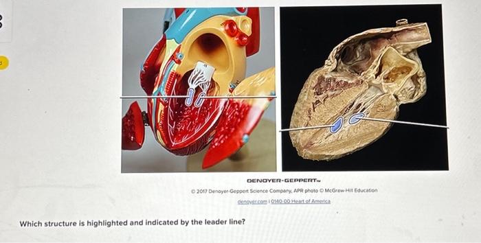 Solved DENoGER-GEPPERTi O 2017 Denoyer.Geppert Science | Chegg.com