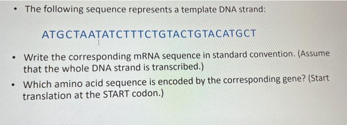 Solved • The following sequence represents a template DNA | Chegg.com