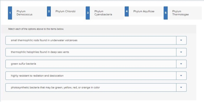 Solved 2 Phylum Deinococcus Phylum Chlorobi Phylum Aquificae | Chegg.com