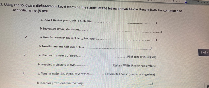 Solved 5. Using the following dichotomous key determine the | Chegg.com