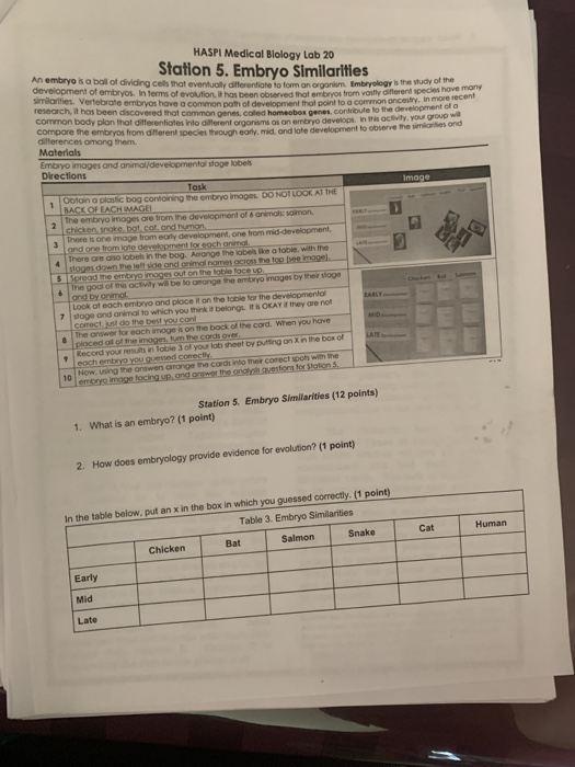 solved-haspi-medical-biology-lab-20-an-embryo-sa-ball-of-chegg