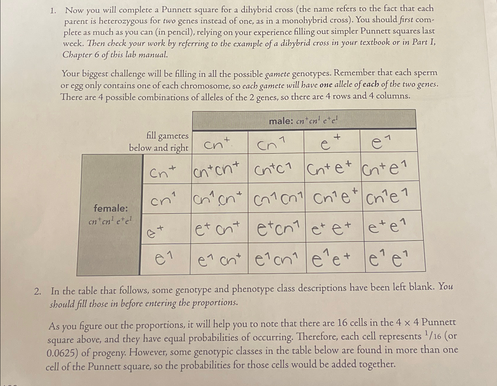Solved Now you will complete a Punnett square for a dihybrid | Chegg.com