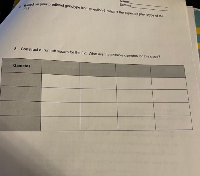 Solved 6. Construct a Punnett square for the original cross | Chegg.com