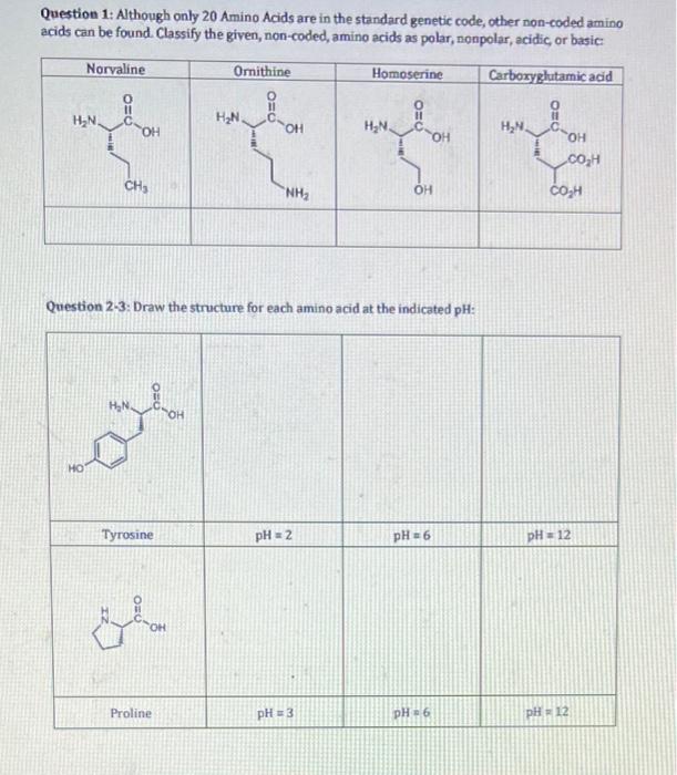 Solved Question 1: Although only 20 Amino Acids are in the | Chegg.com