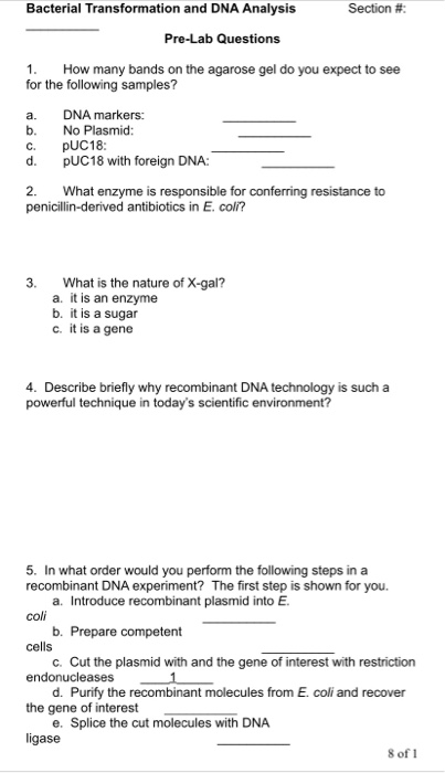 Bacterial Transformation and DNA Analysis Section # | Chegg.com