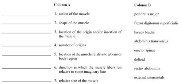 Several Criteria Were Given For The Naming Of Muscles.  