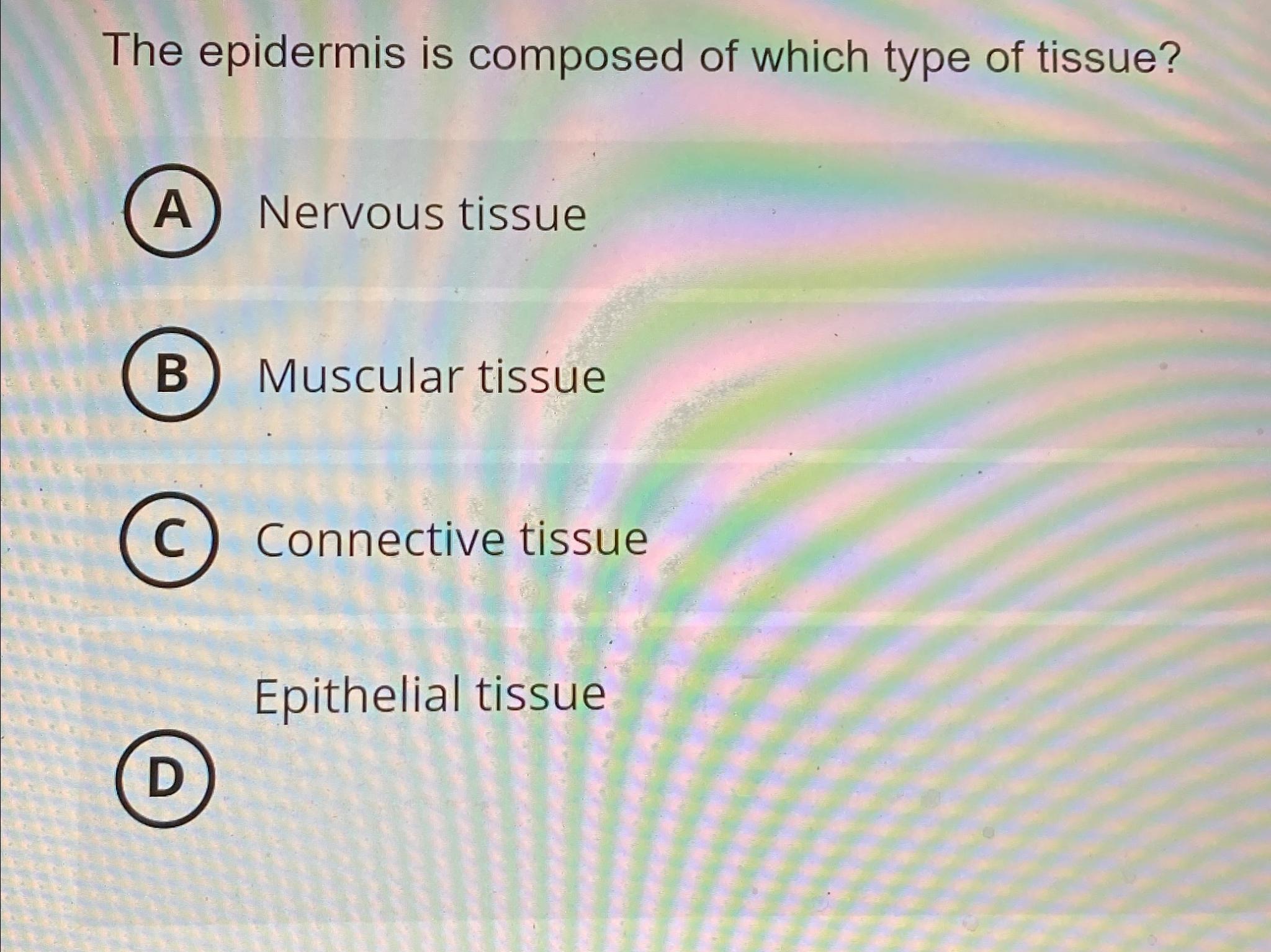 type of tissue in epidermis