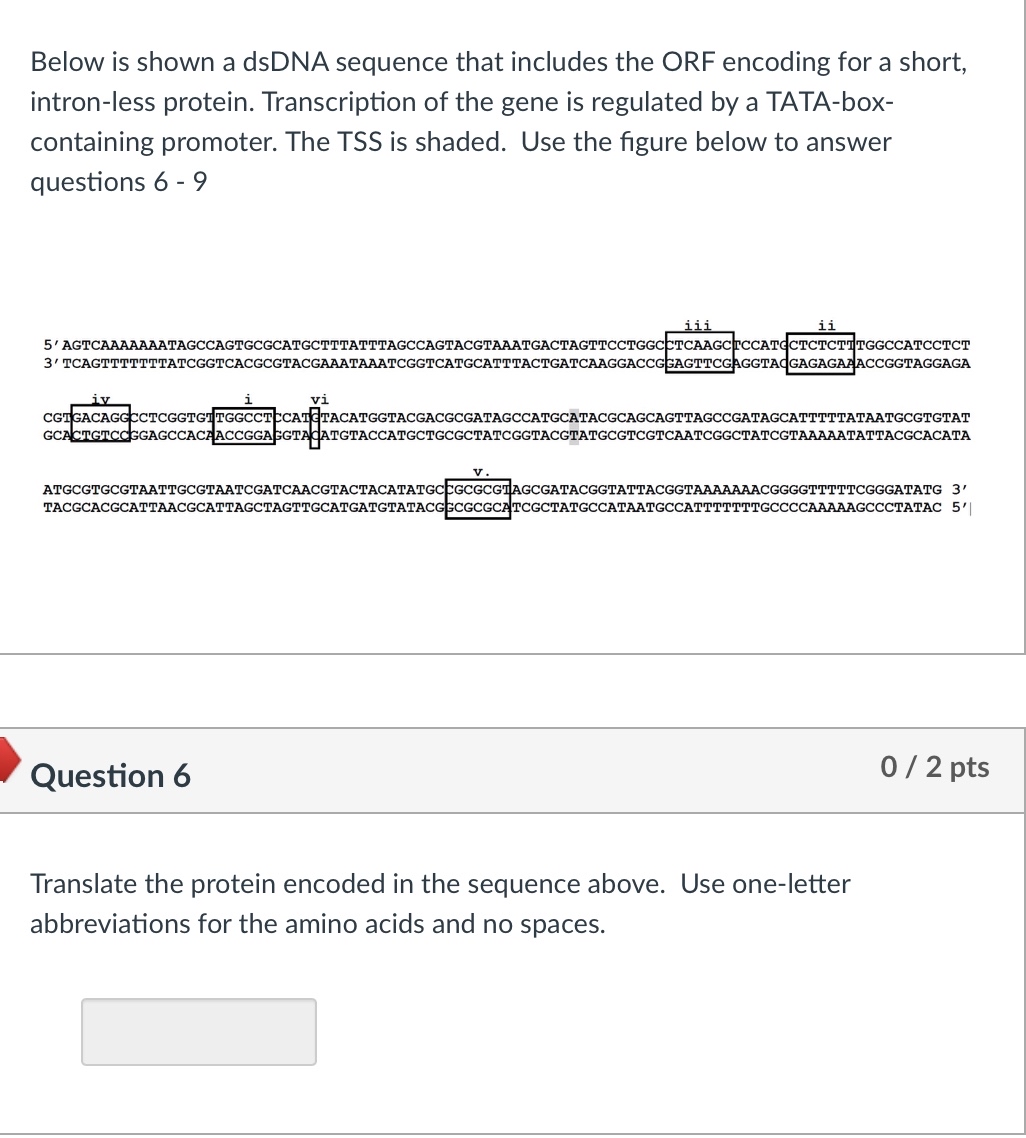 Solved Below is shown a dsDNA sequence that includes the ORF | Chegg.com