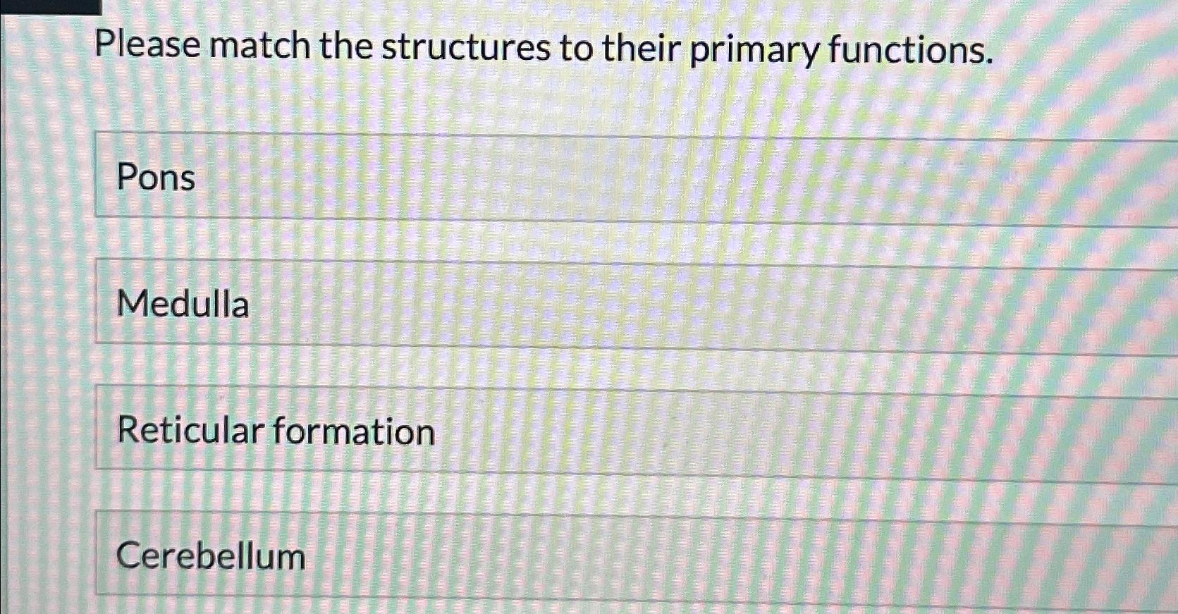 Solved Please match the structures to their primary | Chegg.com