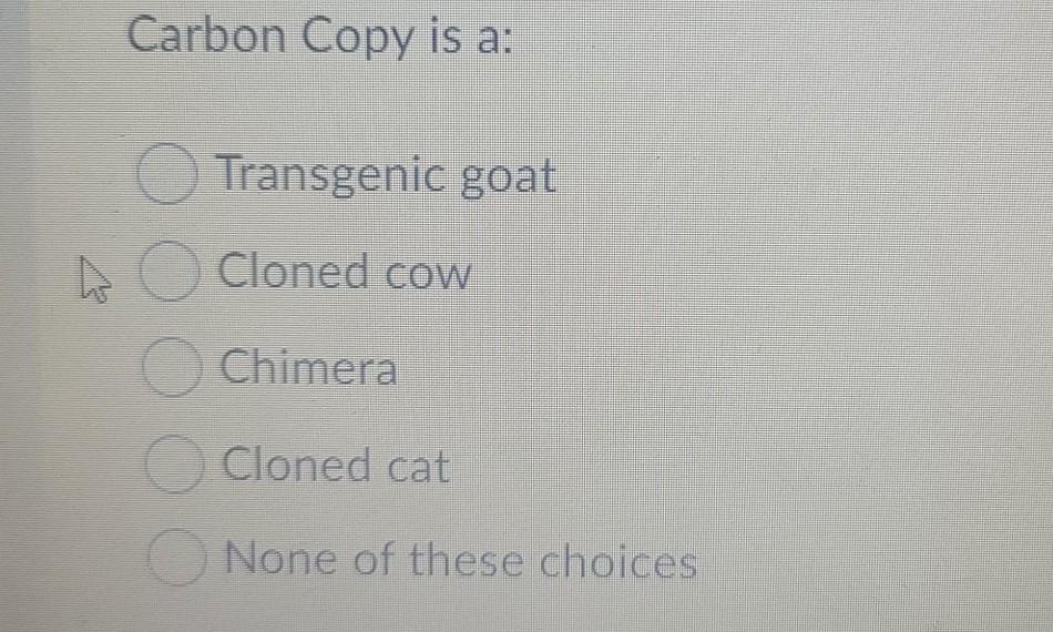 Solved Carbon Copy is a Transgenic goat O Cloned cow