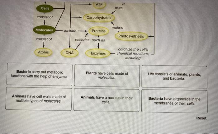 solved-consider-how-you-might-add-animals-plants-and-chegg