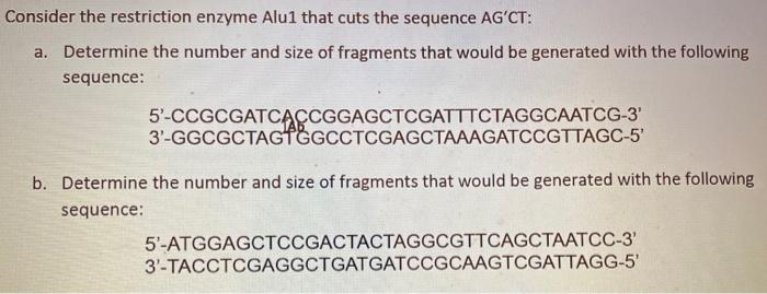 Solved Consider The Restriction Enzyme Alu1 That Cuts The