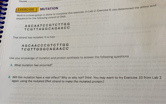 Solved Course: EXERCISE 1 MUTATION or in a small group or | Chegg.com