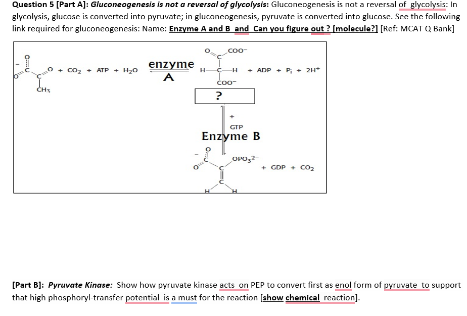 Solved Gluconeogenesis is not a reversal of glycolysis: | Chegg.com